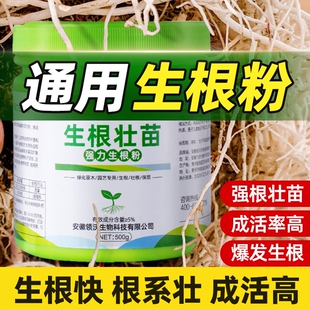 生根粉快速植物通用壮生根水生根剂扦插专用移栽果树强力三角梅