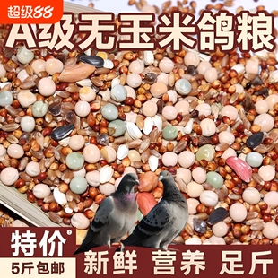 鸽粮50斤高粱玉米粒清除鸽子包邮营养饲料小麦无玉米幼鸽粮食混合