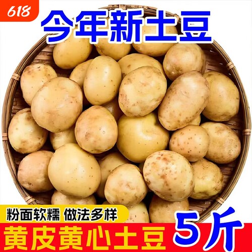 恩施高山老品种黄心小土豆