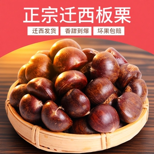 2025正宗迁西板栗生新鲜河北唐山栗子大栗燕山甜糯小油栗板粟双11
