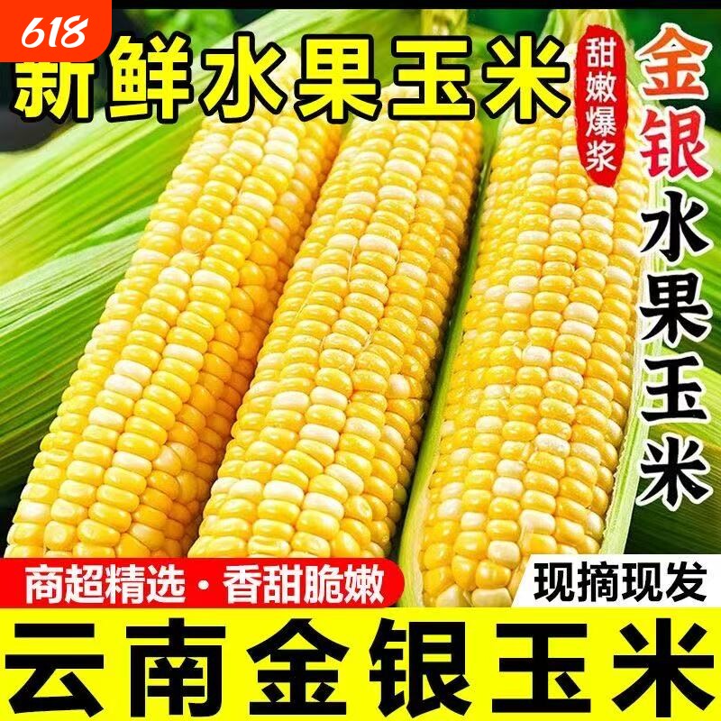 正宗云南现摘金银玉米5-9斤粘新鲜蔬菜甜苞谷当季生鲜爆浆普通