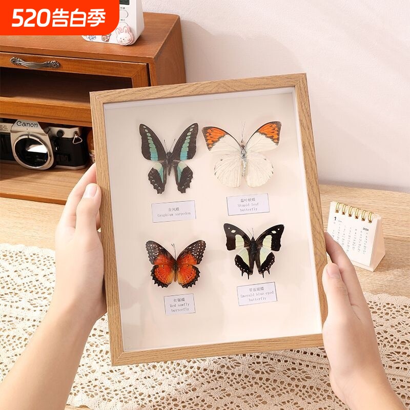 中空相框摆台手工diy蝴蝶a4昆虫标本盒立体框干花展示框画框玻璃