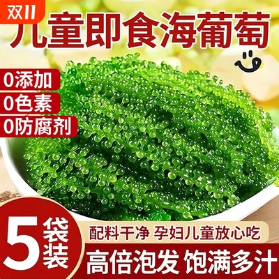 儿童盐渍海葡萄即食新鲜泡发凉拌菜植物鱼子酱海藻营养健康美味