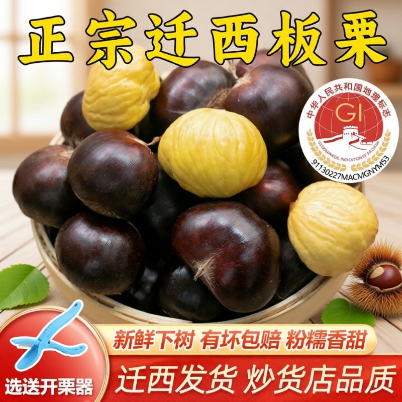 栗仟帆迁西生鲜板栗河北燕山板栗