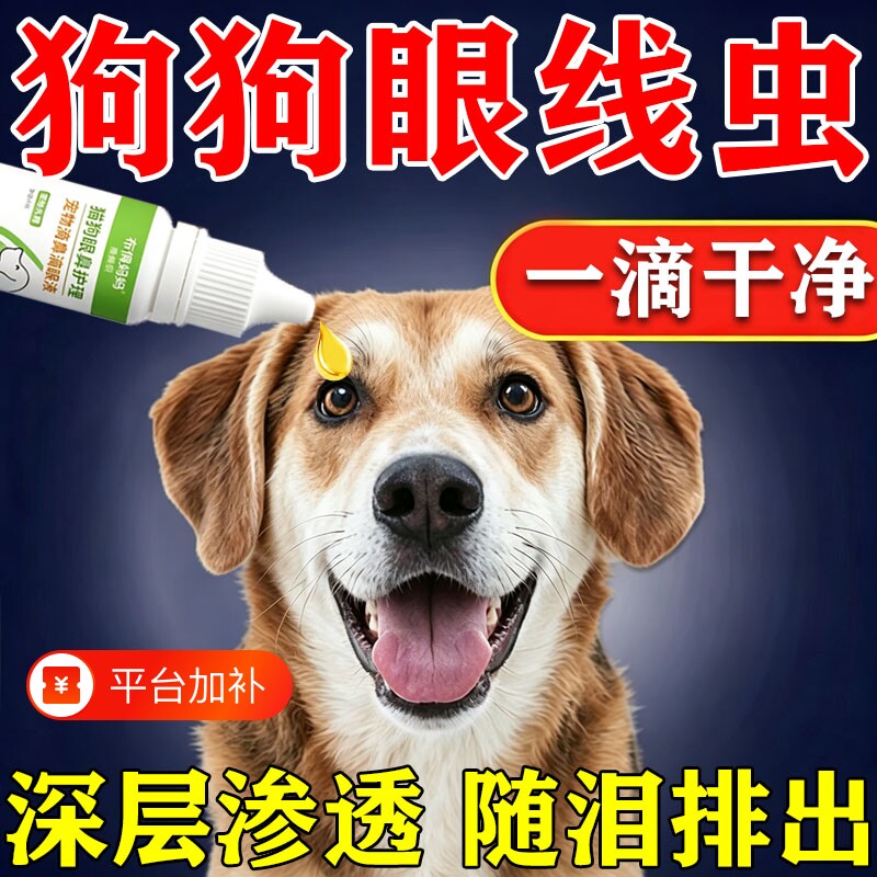 狗狗眼线虫滴眼液宠物猫狗眼睛发红结膜炎流泪有脓性分泌物滴眼液