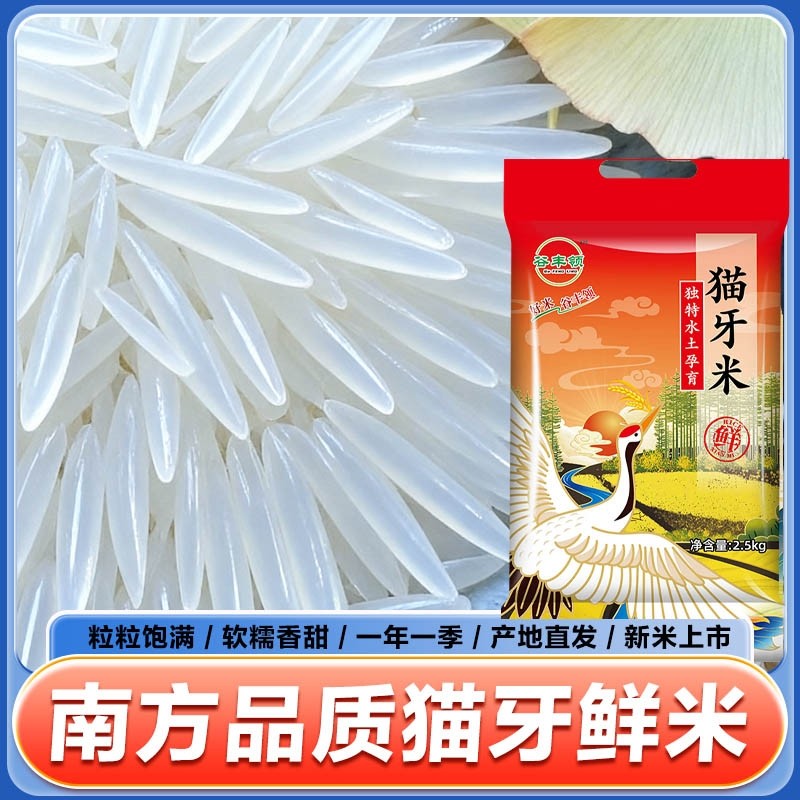 新米猫牙米大米促销长粒香米蛋炒饭煲仔饭专用米籼米谷丰当季煮粥,粮油调味/速食/干货/烘焙,大米,淘宝优惠券,粉丝福利购,淘宝优惠卷