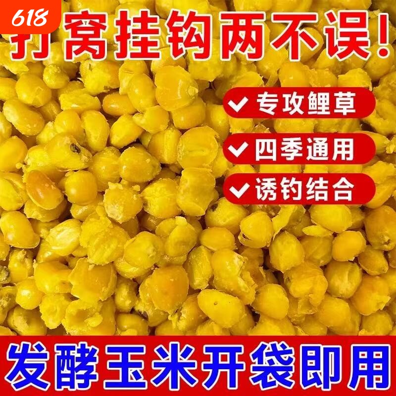 发酵玉米粒饵料玉米钓鱼专用打窝料鲫鱼鲤鱼草鱼青鱼通用水库重窝