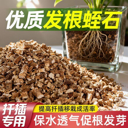 蛭石扦插用多肉养花专用珍珠岩颗粒月季扦插专用土壤发根育苗孵化