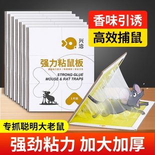 粘鼠板强力胶粘大老鼠全老鼠贴窝端捕鼠器驱鼠神器家用老鼠夹超强