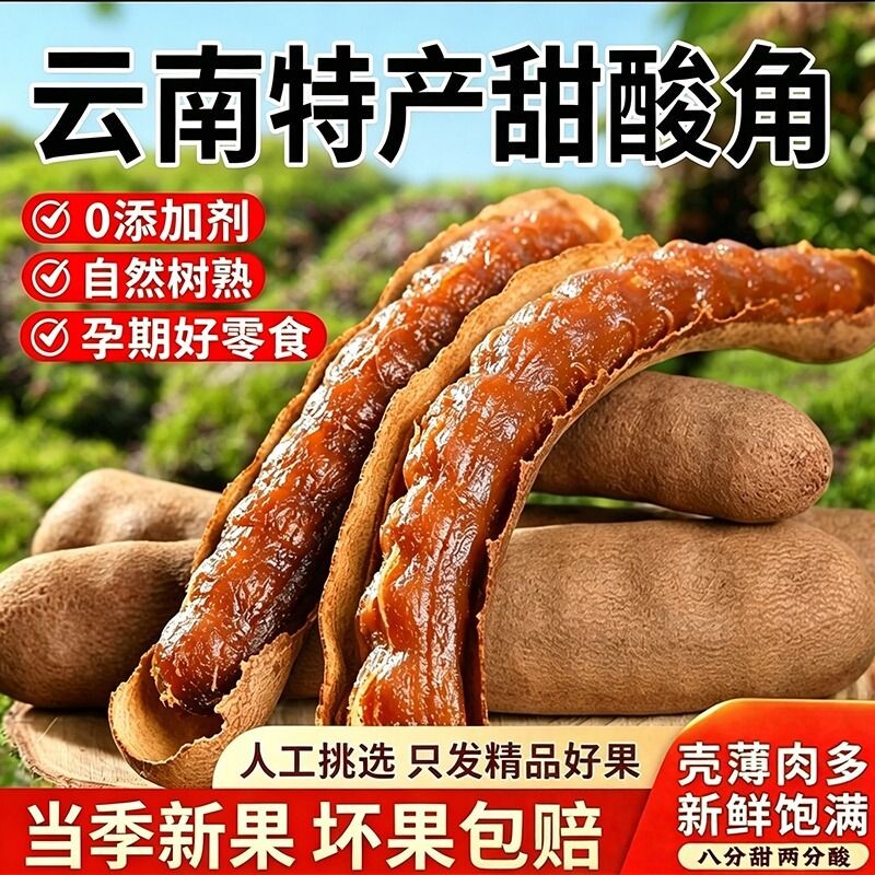 甜酸角云南特产罗望子新鲜野生大果孕妇零食酸角水果甜角酸甜好吃