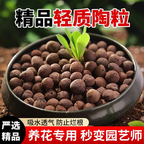 陶粒垫底养花铺面水培绿植通用型