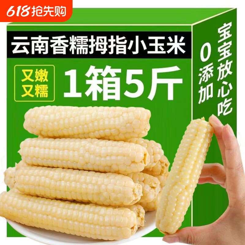 云南西双版纳儿童拇指玉米宝宝辅食新鲜手指小玉米香糯香甜早餐