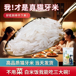 瑶山丝苗米猫牙米大米正宗长粒香新米优质珍珠米原粮梯田真空源头