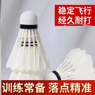 羽毛球小钢炮6个装稳定耐打王正品白羽毛球室外学习训练比赛用球