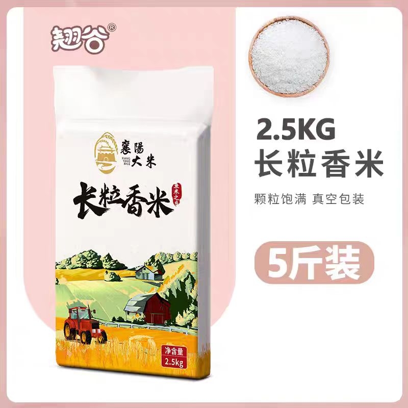 翘谷长粒香小包装南方当年新米大米糙米炒饭煲仔湖北真空