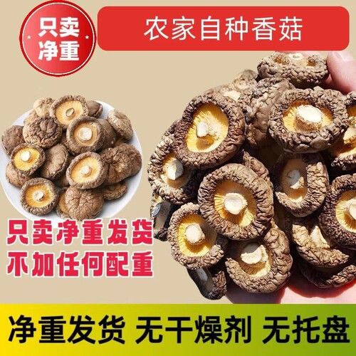 当季新货香菇干货新鲜农家肉厚无根煲汤批发价菌菇无熏硫源头直供
