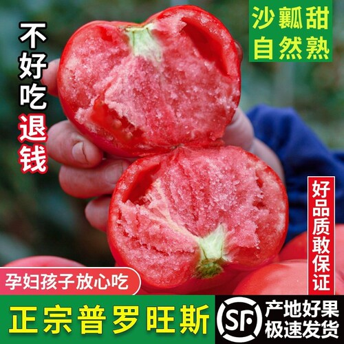 陕西泾阳普罗旺斯西红柿新鲜自然熟孕妇水果当季沙瓤生吃番茄蔬菜