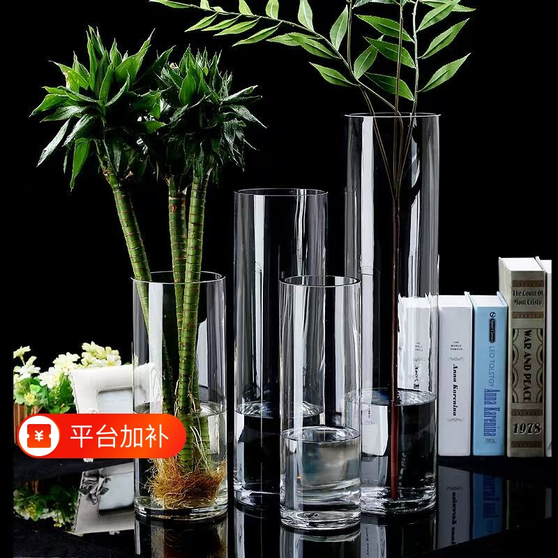 花瓶摆件客厅插花透明玻璃花瓶创意简约直筒富贵竹马醉木银柳家用