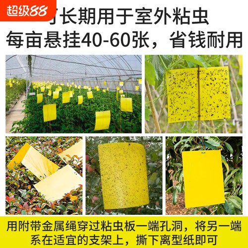 双面粘虫板黄板果蝇诱虫板菜地驱虫神器驱蚊蝇针蜂室内果树强力