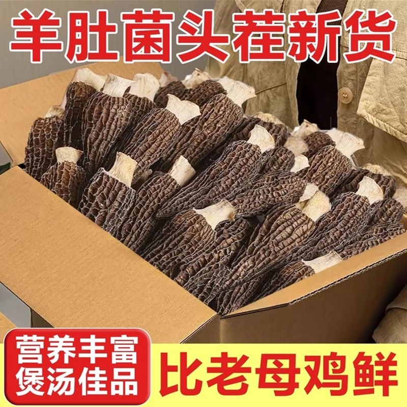 野生云南羊肚菌价孕妇干货正品煲汤食材农家特产滋补养生