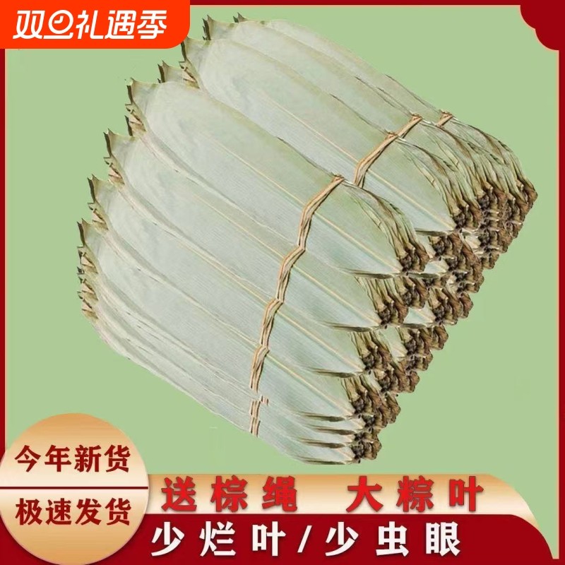 干粽叶新鲜粽叶干大号叶子粽子叶粽叶端午节包粽子自然生长鲜粽叶