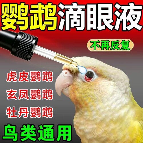 鹦鹉滴眼液单眼伤风玄风虎皮信鸽眼睛睁不开流泪肿胀专用一滴灵