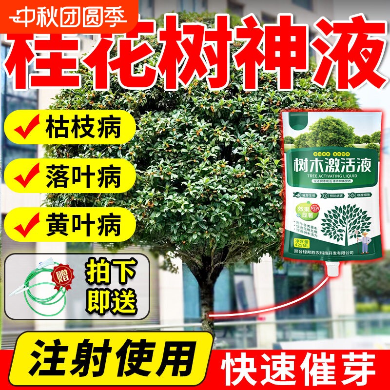 大树营养液强力生根药水图片