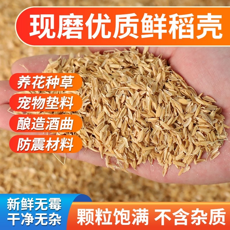 稻壳垫料新鲜谷壳粗糠米糠喂鸡芦丁鸡枕头芯填充饲料发酵土壤稻谷