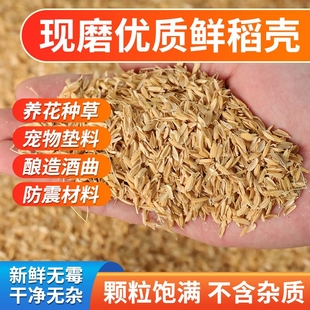 稻壳垫料新鲜谷壳粗糠米糠喂鸡宠物芦丁鸡枕头芯填充酿酒饲料发酵