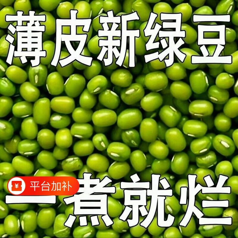 2025新货绿豆小绿豆5斤农家自产发新鲜豆芽夏天绿豆汤材料绿豆粥
