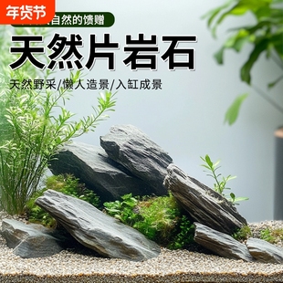 鱼缸造景石原生溪流石主石大块岩片石头底砂天然原石专用龟缸躲避