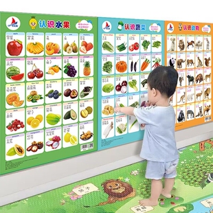 撕不烂防水宝宝认知挂图认识数字植物看图识字水果儿童早教无声学说话婴幼儿启蒙拼音识字卡墙贴动物益智蔬菜点读识车汉字人物古诗