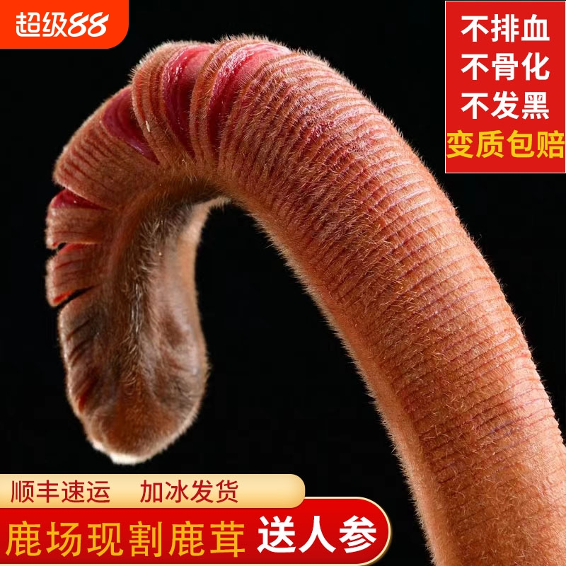 东北鲜鹿茸整根梅花鹿茸整枝鹿角新鲜带血鹿茸片头茬泡酒药材正品