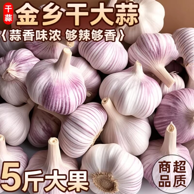 蒜香味浓山东金乡紫皮大蒜头干蒜蔬菜批发新鲜种植优质大果当季