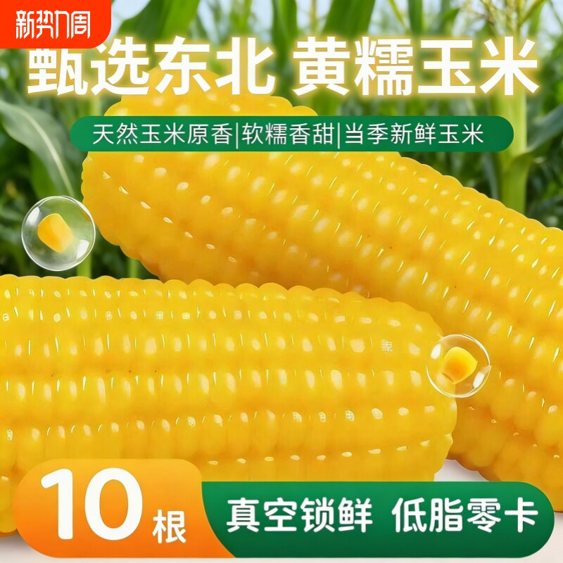 寒地粗粮东北正宗黑土地玉米新鲜大棒软糯香甜饱腹代餐低脂真空装