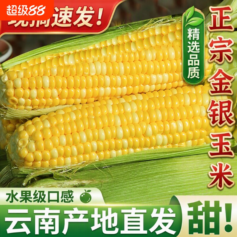 云南水果玉米甜脆|超1000次加购