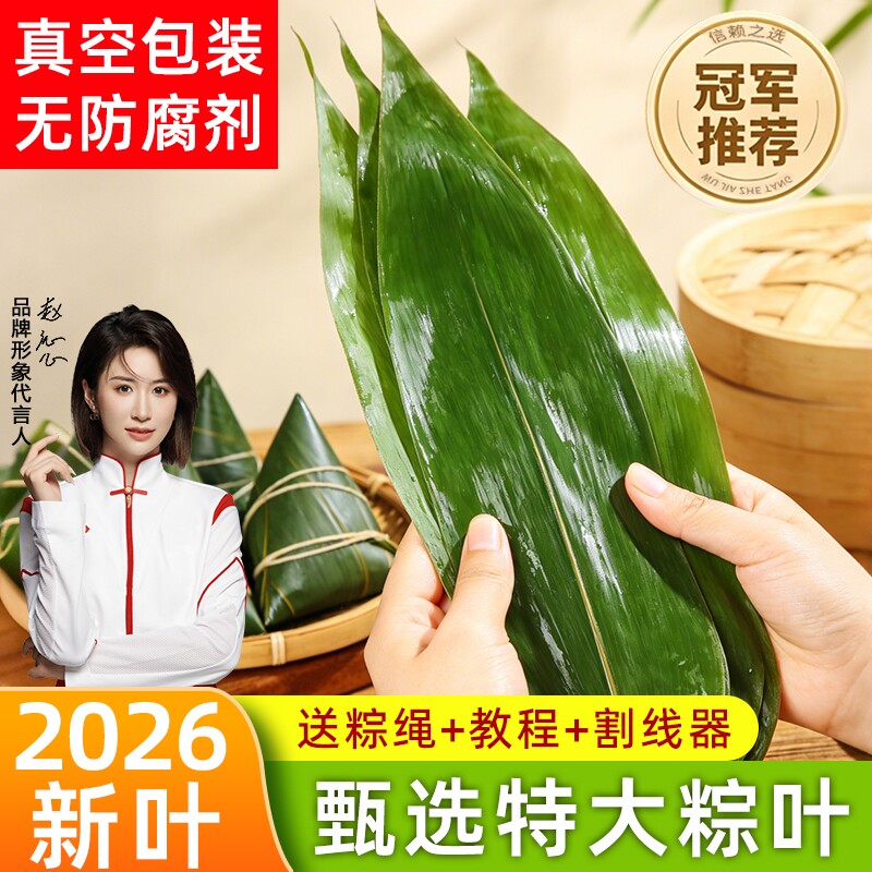 粽叶新鲜粽子叶大号精选包粽子专用的叶子端午鲜叶干叶特大家商用