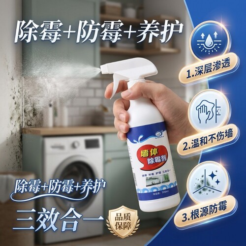 墙体除霉剂墙面去霉菌斑