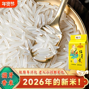 广西纯正猫牙米长粒香米2026年新米丝苗米稻香米真空一级大米10斤
