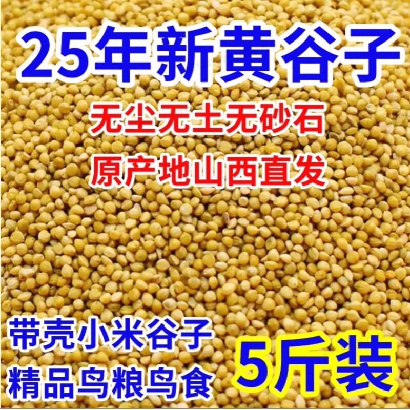新黄谷子带壳小米虎皮牡丹玄凤中小型鹦鹉文鸟鸟粮鸟食鸟饲料粮食