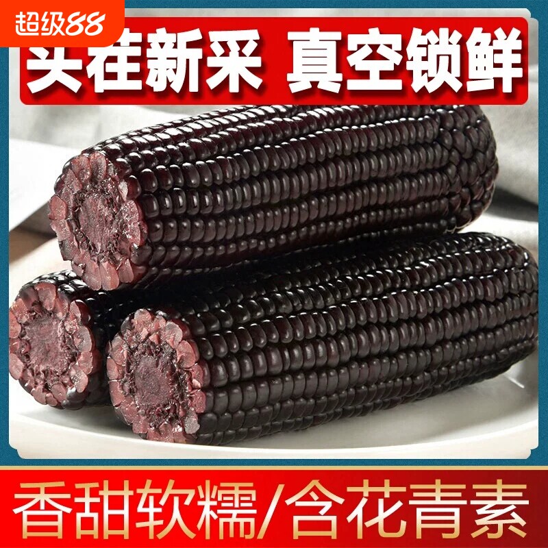 东北煜松黑糯玉米软糯鲜香健康粗粮早餐新鲜玉米真空锁鲜非转基因