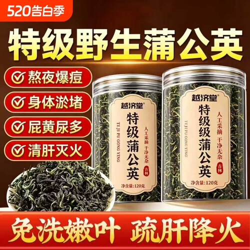 特级野生蒲公英正品中药材散结茶官方旗舰店清散热去火新鲜泡水喝