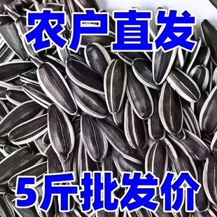 【特大颗粒】内蒙古新货瓜子葵花籽特价瓜子原味炒熟炒货散装批发
