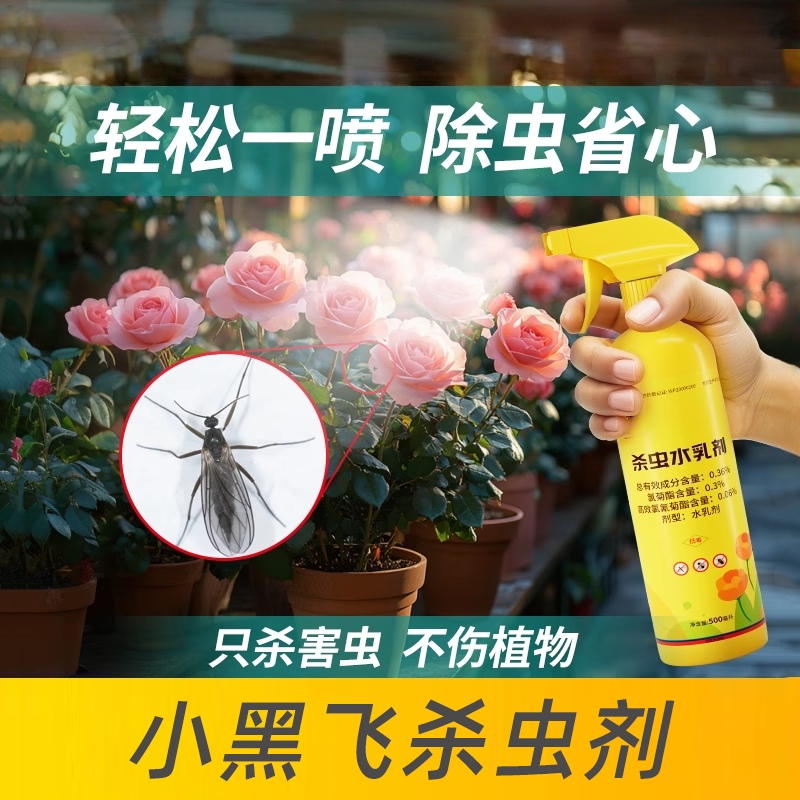家用花盆花史土壤杀虫剂丹灭小黑飞红蜘蛛利非专杀飞虫药家里植物