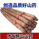 铁棍山药正宗新鲜铁杆怀山淮山药现挖小白嘴山药非温县垆土铁棍