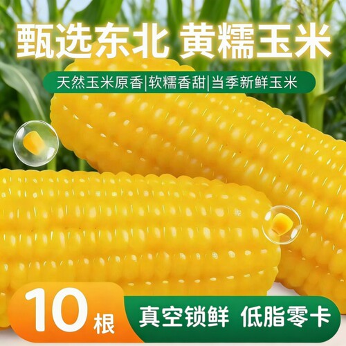 粗粮东北正宗黑土地玉米新鲜大棒软糯香甜代餐低脂真空装粒粒黄糯