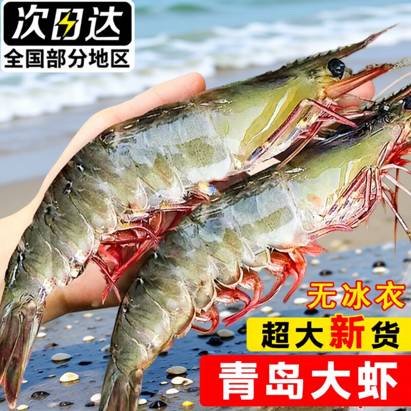青岛大虾鲜活冷冻速冻基围虾超大白虾新鲜海虾特大对虾海鲜水产
