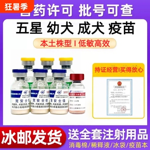 五星狗狗四联狂犬疫苗预防犬瘟细小肝炎犬成犬幼犬加强抗体注射用
