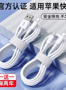 正品快充适用苹果系列快充数据线17promax/17/16/15/14/13/12/超级快充适用8p车载iPad平板闪充渲涯