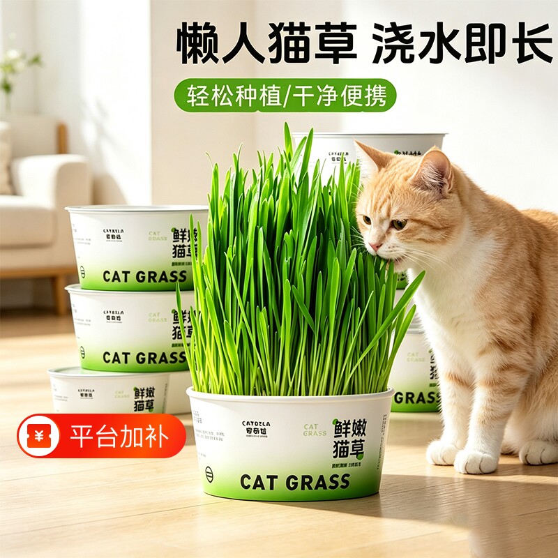 猫草盆栽泡面杯化毛球片猫咪专用土培盒吐毛球猫咪零食水培种植